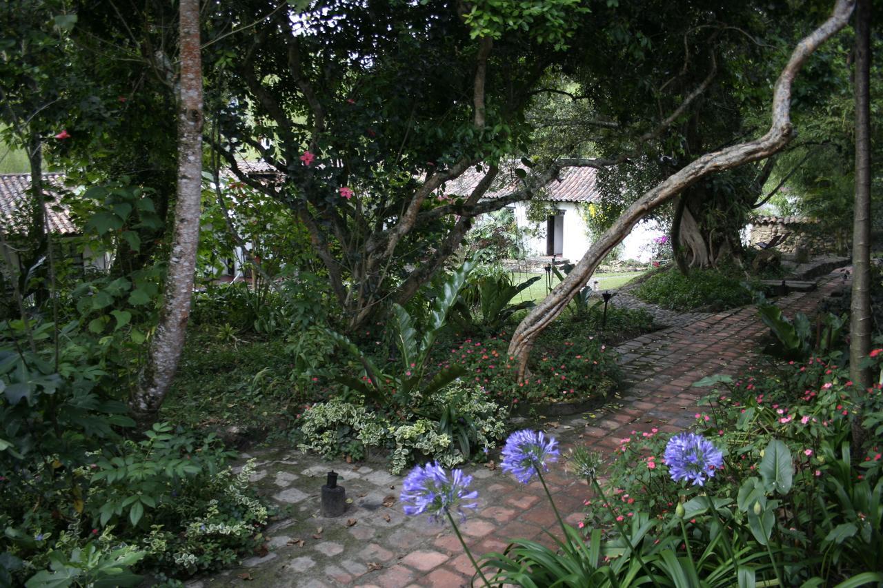 Hotel Hacienda Baza Tibana Exteriér fotografie