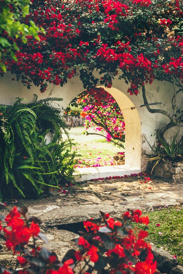 Hotel Hacienda Baza Tibana Exteriér fotografie